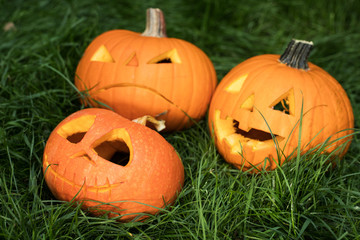 Obraz premium jack-o-lantern, halloween carved pumpkin