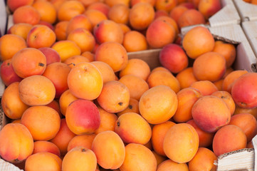 Closeup of organic apricots at the market