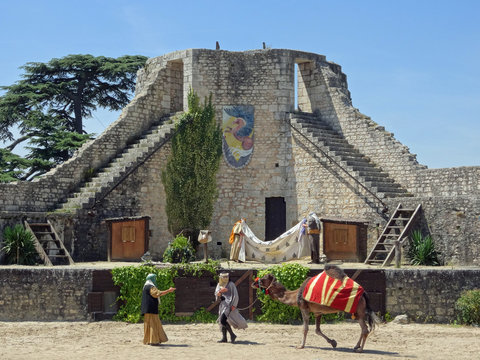 Provins spectacle des rapaces