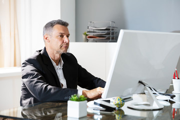 Business Man Working On Computer