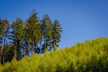 Fototapeta premium Jung und Alt