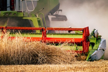agricultural farmer works with tractor or modern harvester at rural field and mows corn and grain...