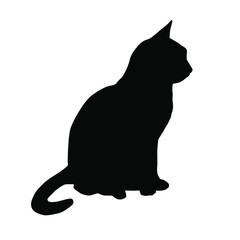 Vector silhouette of the cat  sitting,  black color, isolated on white background