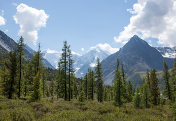 Traveling in Altai