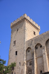 Fototapeta na wymiar une tour du palais des papes d'Avignon