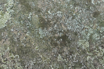 Grunge molded rock background 