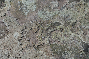 Grunge molded rock background 