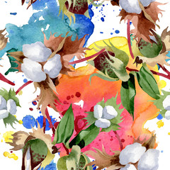 Obraz premium Cotton floral botanical flowers. Wild spring leaf wildflower isolated. Watercolor background illustration set. Watercolour drawing fashion aquarelle. Isolated cotton illustration element.
