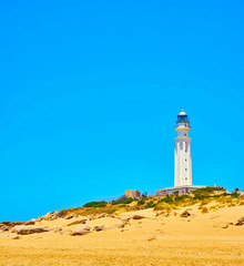 Trafalgar Lighthouse in The Cabo de Trafalgar Cape Natural Park. Barbate, Los Caños de Meca, Cadiz. Andalusia, Spain.