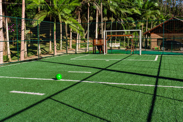 Fototapeta premium goal on the field