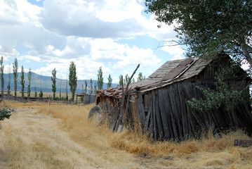 Old abandoned shed