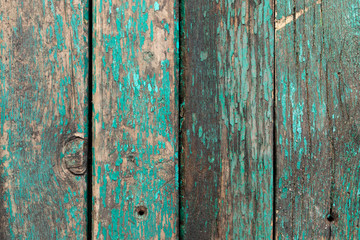 Background in the form of four vertical wooden boards of dirty green color with peeling paint
