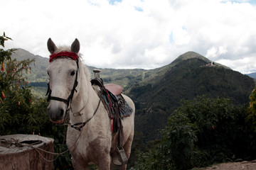 Monserrate, Centro de Bogotá, Colombia