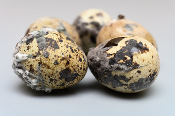 side view moldy quail eggs on grey background
