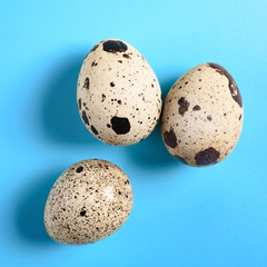 top view quail eggs on blue background