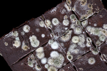 Close up of mold growing on Chocolate cake in green and white spores isolated on black background.