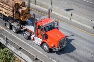 Powerful big rig orange semi truck transporting huge logs driving on wide divided highway