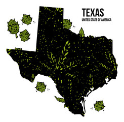 Texas USA cannabis print design