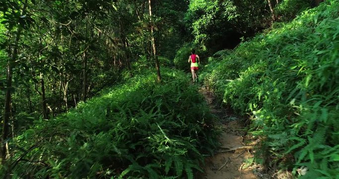 Woman ultramarathon runner running in tropical rainforest 