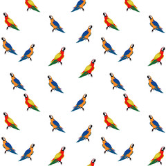 Fototapeta na wymiar Bird red-and-yellow macaw seamless pattern vector illustration isolate white background.