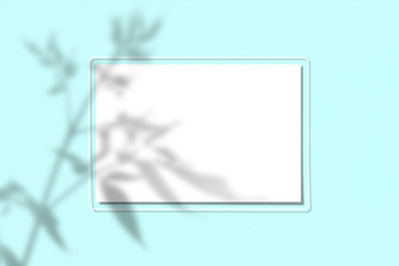 A piece of paper on a blue background. Layout with the imposition of plant shadows. Natural light casts a shadow from above. The scene of an exotic plant from the window.