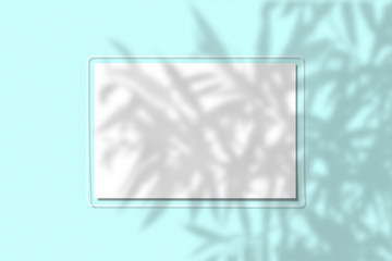 A piece of paper on a blue background. Layout with the imposition of plant shadows. Natural light casts a shadow from above. The scene of an exotic plant from the window.