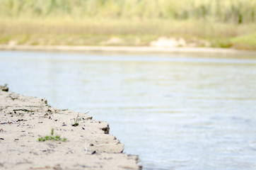 A lone bunch of wild green grass grows on the edge of the river from the sand in the North of the taiga of Yakutia, which collapses from erosion by water.