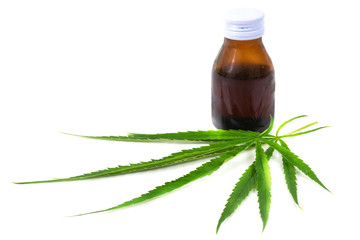 Green marijuana leaves and Cannabis oil is herbs for cancer treatment isolated over white background