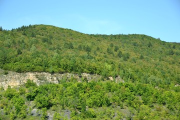 Dense thickets of deciduous forests on the rocky slopes of the ancient Zhiguli mountains