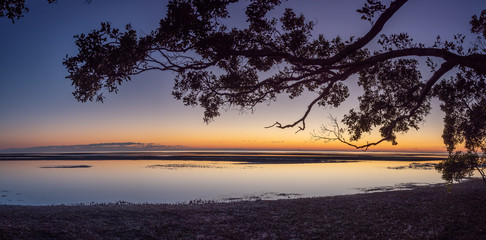 Fototapeta na wymiar Mangrove Sunrise Panorama