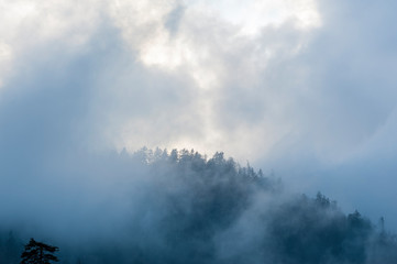 Mist and Smoke rises from the mountain in the early morning of eastern Tennessee. at Great Smoky Mountains National Park, Townsend, TN