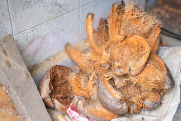 brown dry coconut peel in garden