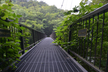 吊り橋