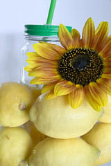 Lemons and sunflower and juice