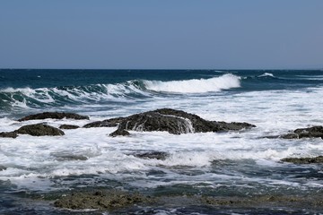 Fototapeta premium 庄内浜の荒波 日本海