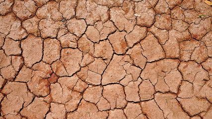 Top view of dry soil. Background and texture.