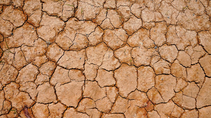 Top view of dry soil.