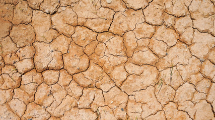Top view of dry soil.