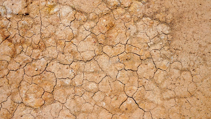 Surface of dry soil that does not have water.