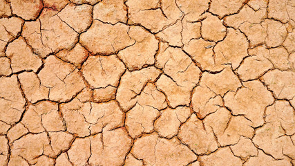 Closeup and topview of dry soil.