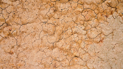 Dry soil surface during the dry season.