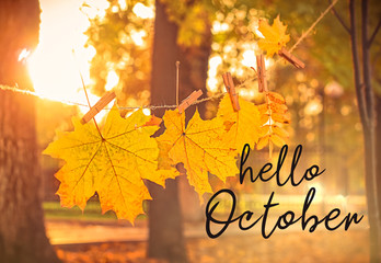 Hello october - text on blurred autumn background. garland of yellow maple leaves in park. fall season. shallow depth, soft selective focus.