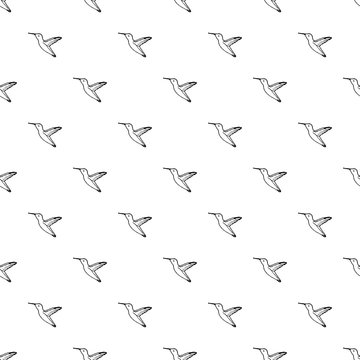 Vector seamless pattern with hand drawn colibri.