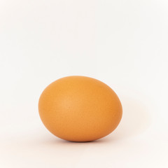Egg on a white background