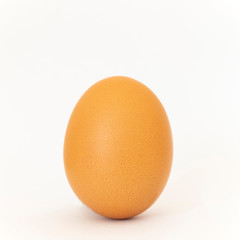 Egg on a white background