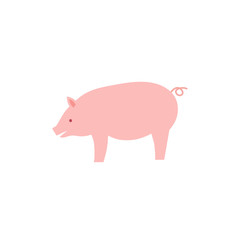 Vector illustration of flat pig. Vector pink pig.