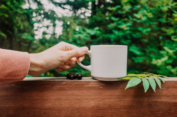 White cup of tea stands on a wooden railing against the background of trees in the park. Hand holds a cup. Nearby are black currant berries. The concept of outdoor recreation, healthy natural drinks.
