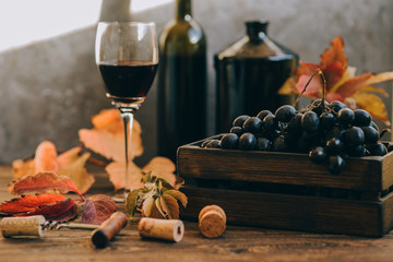 Excellent red wine bottles, wineglass and corkscrew on a rustic wooden table. Traditional winemaking and wine tasting concept. Wine background. Red grapes in an old box with a corkscrew.