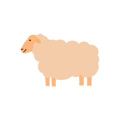 Vector illustration of sheep. Animal vector illustration.