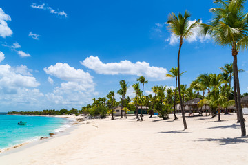 Beach with Palm Trees at Catalina Island in Dominican republic - obrazy, fototapety, plakaty
